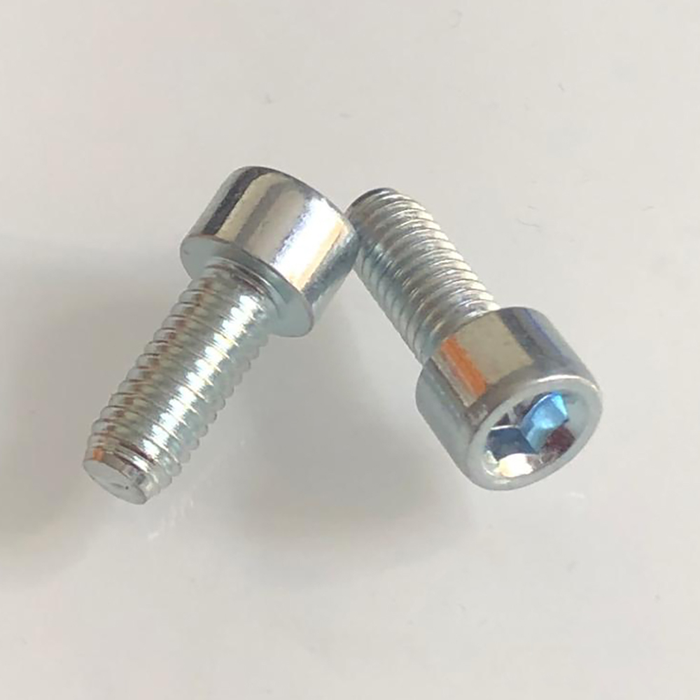 Raleigh Bottle Cage Mount Screws M5x12mm Silver x 2