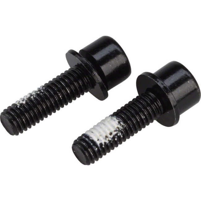 TRP Spare Mounting Bolts for Flat Mount Brakes Rear Caliper (x2) 22mm